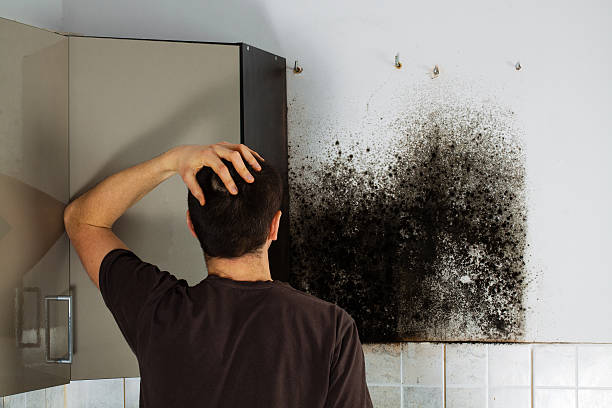 Best Residential Mold Removal  in Girard, IL